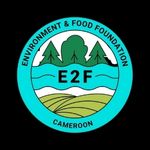 PARTNERS_LOGO_ENVIRONMENT_AND_FOOD_FOUNDATION_CAMEROUN