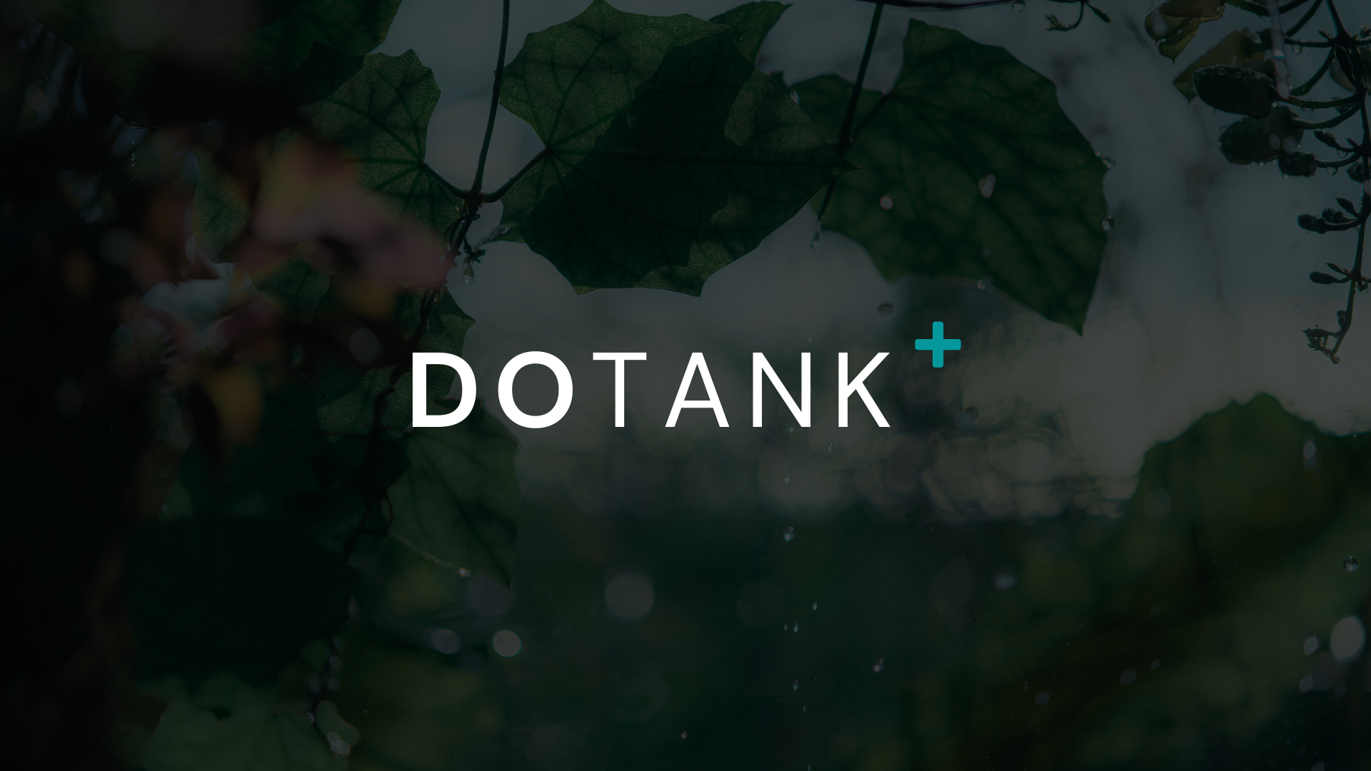 HOME - DOTANK Plus