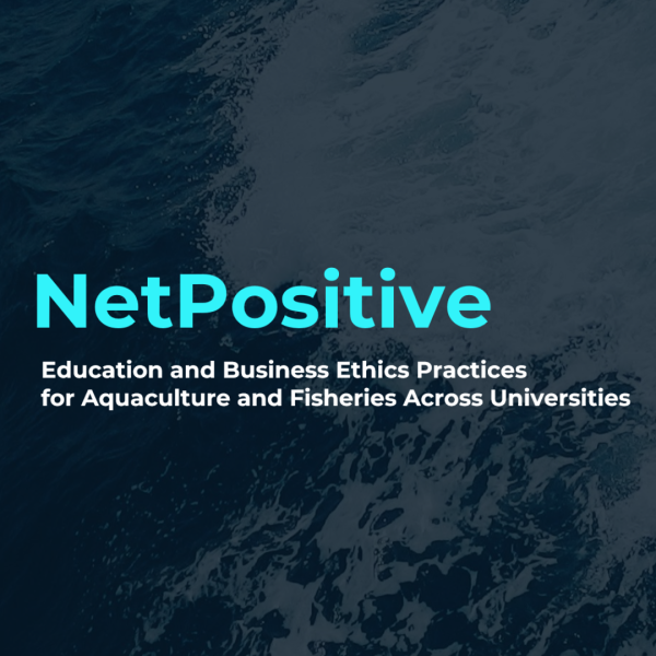NetPositive
