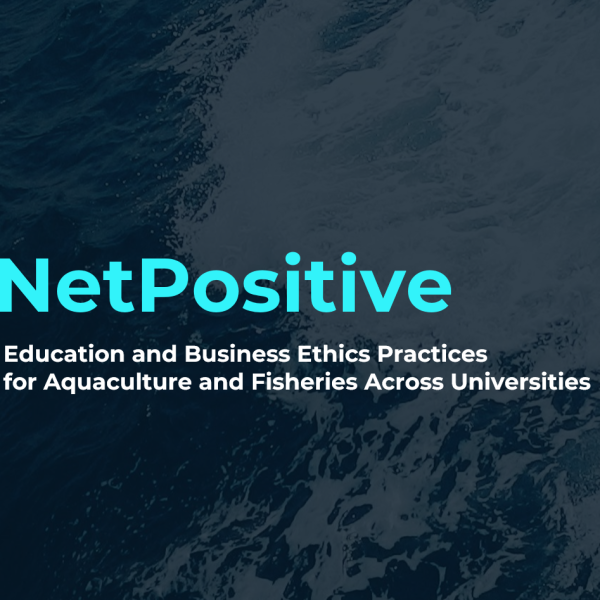 Screenshot 2026-01-22 103841