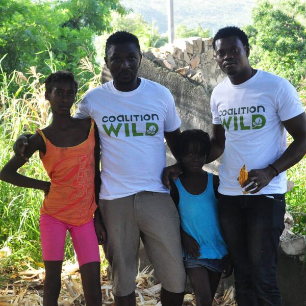 excelerator-pic-coalition-wild