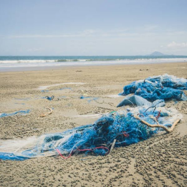 Discarded fishing net and rope have been washed up on the beach at Ko Lanta, Krabi, Thailand.  These abandoned or obsolete items become dangerous garbage, polluting the Ocean, referred to as ‘Ghost Nets.’  Ghost Nets are responsible for the deaths of huge amounts of Marine Life every year, through entanglement and consumption.
