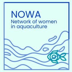 nowa logo