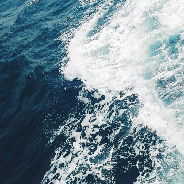 pexels-thachtran-756856